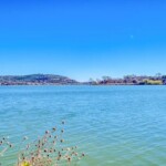 Lake LBJ Waterfront Homes
